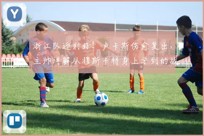 浙江队迎利好！卢卡斯伤愈复出，主帅详解从穆斯卡特身上学到的战术精髓